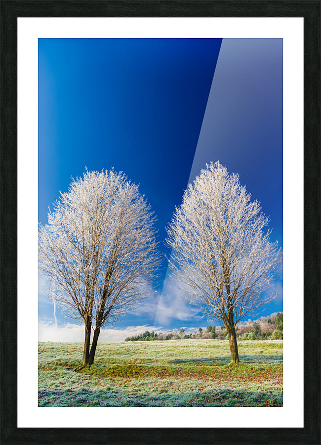 DL101103 294 Picture Frame print