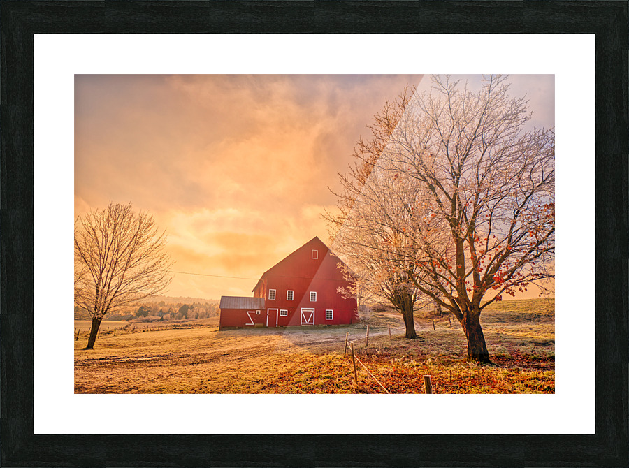 DL101103 268a Picture Frame print