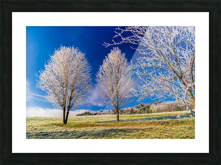 DL101103 287 Picture Frame print