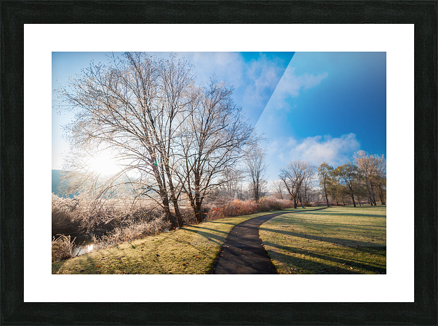 DL101103 094 Picture Frame print