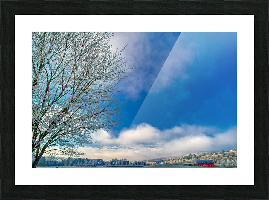 DL101103 223a Picture Frame print