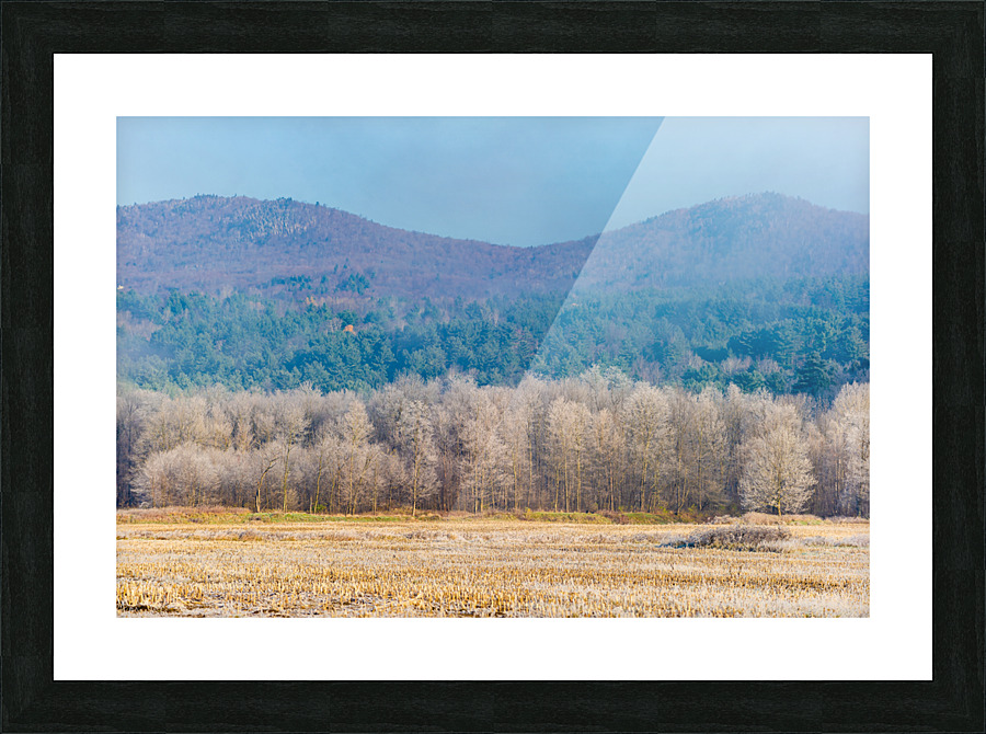 DL101103 230 Picture Frame print