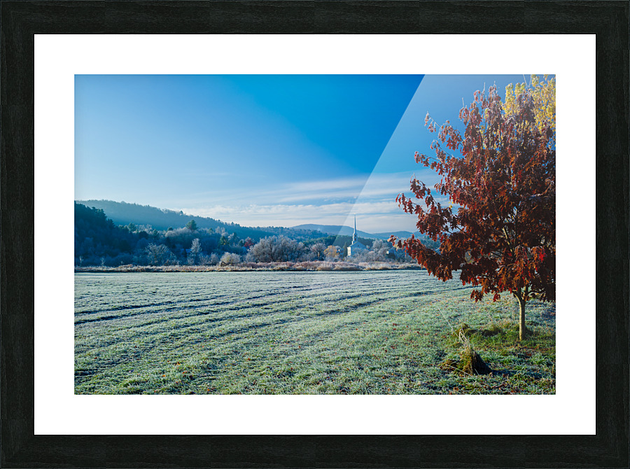 DL101103 142 Picture Frame print