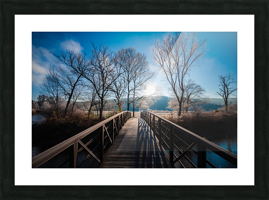 DL101103 125a Picture Frame print