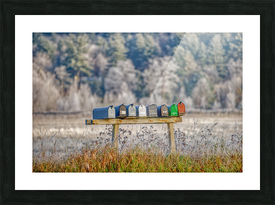 DL101103 231a Picture Frame print