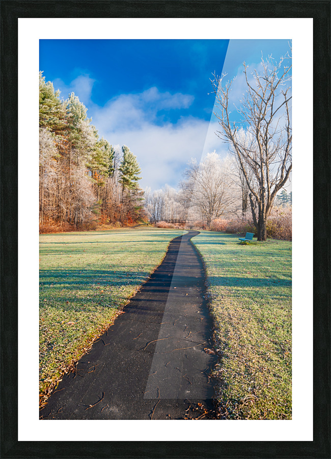 DL101103 086 Picture Frame print