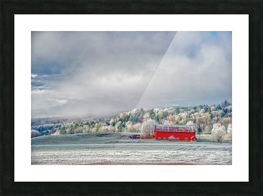 DL101103 211a Picture Frame print