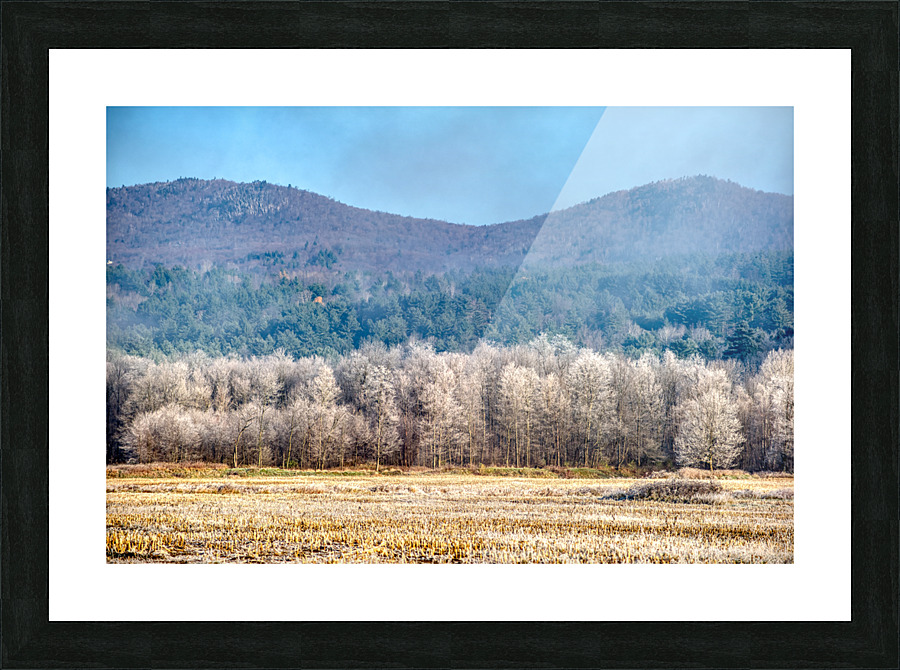 DL101103 230a Picture Frame print
