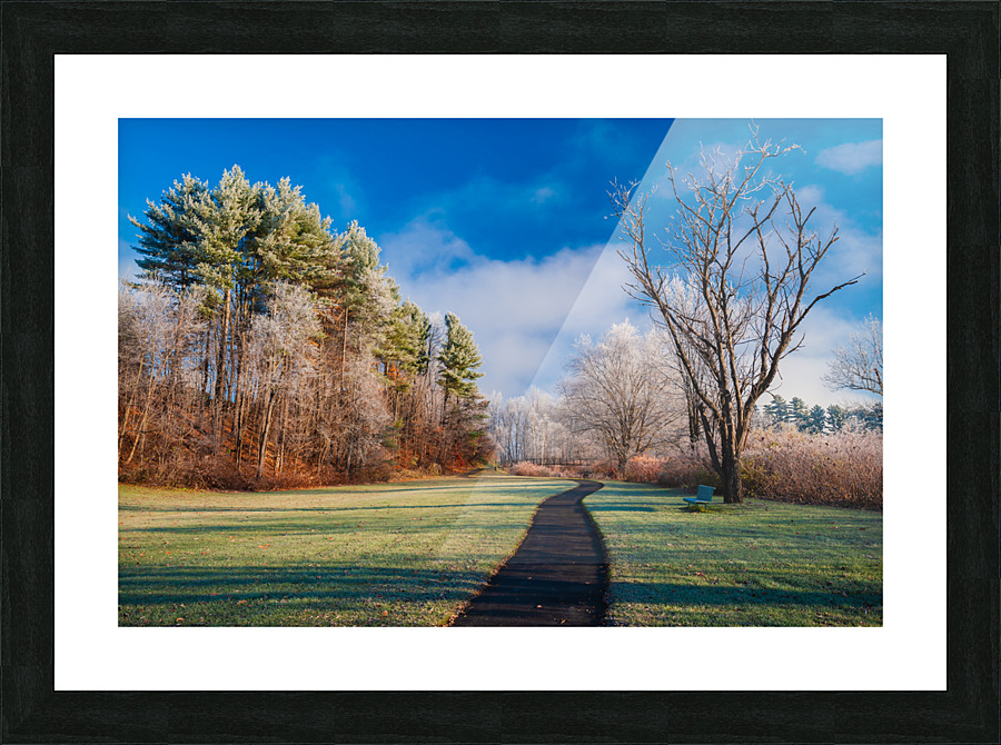 DL101103 085 Picture Frame print