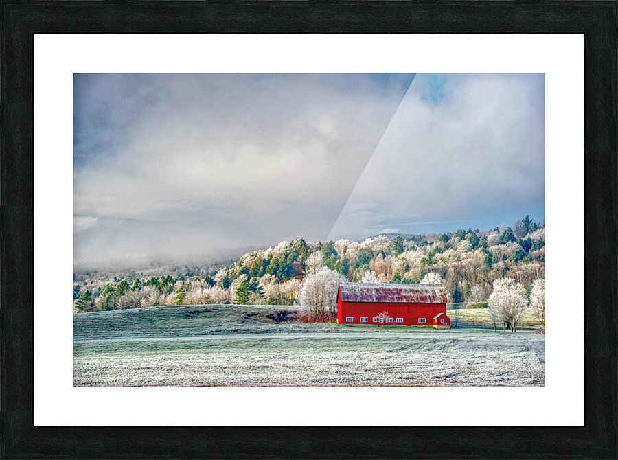 DL101103 210a Picture Frame print