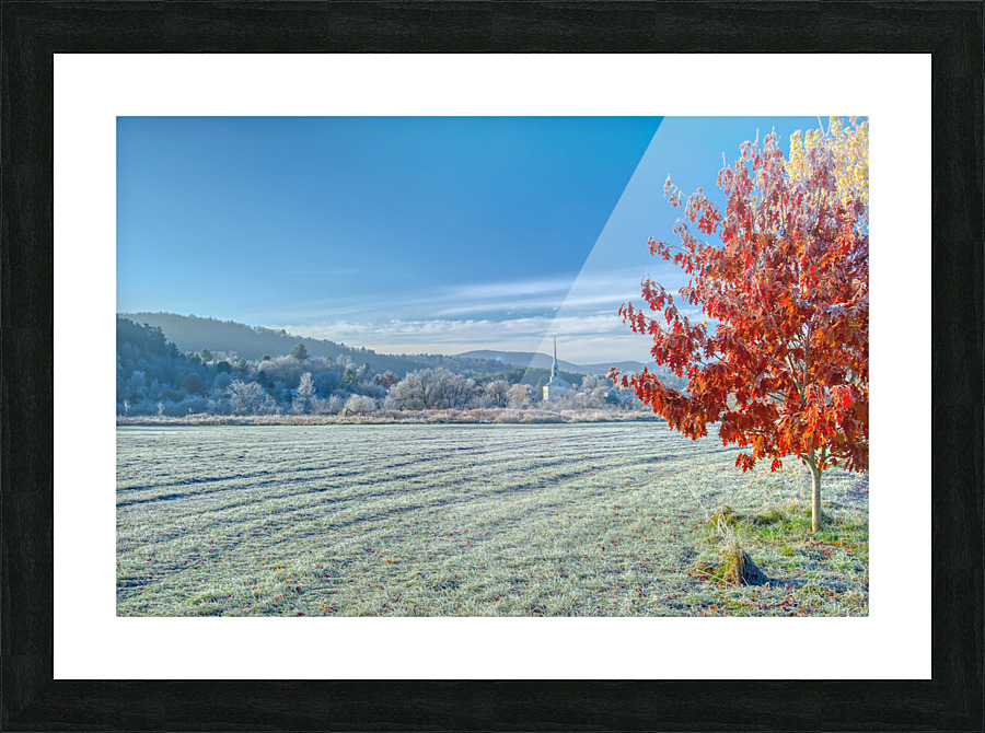 DL101103 142a Picture Frame print