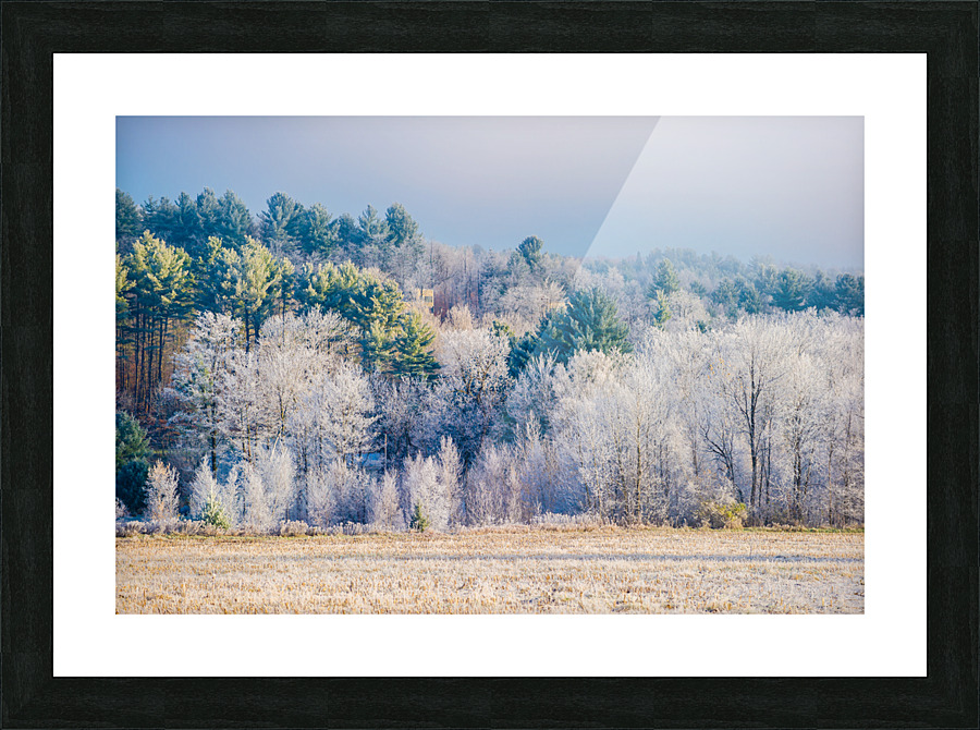 DL101103 225 Picture Frame print