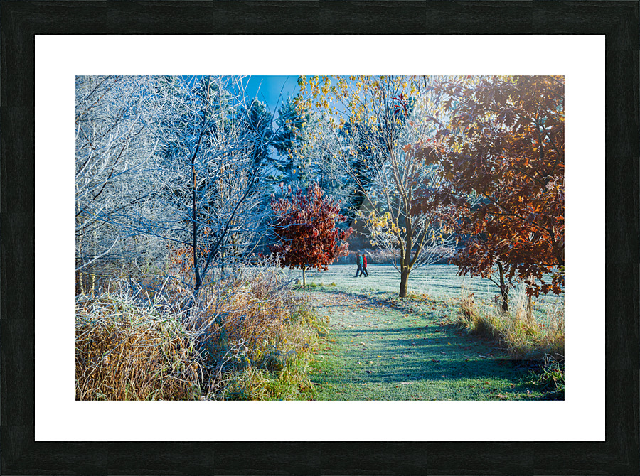 DL101103 139 Picture Frame print