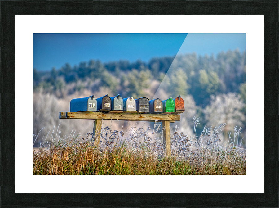 DL101103 232a Picture Frame print