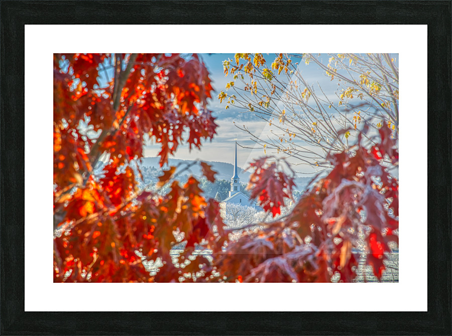 DL101103 144a Picture Frame print