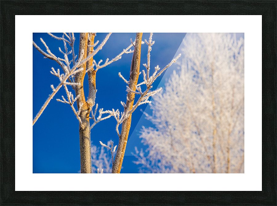 DL101103 200 Picture Frame print