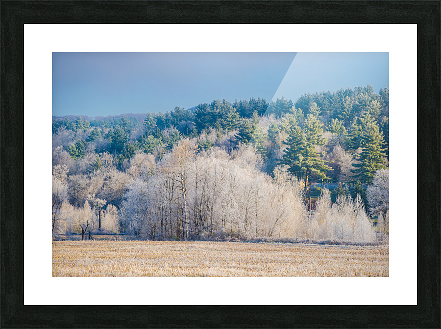 DL101103 229 Picture Frame print