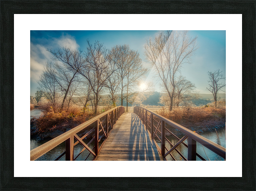 DL101103 124a Picture Frame print