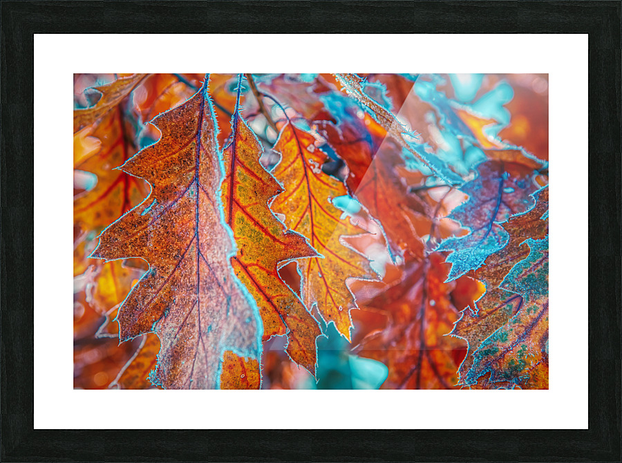 DL101103 151a Picture Frame print