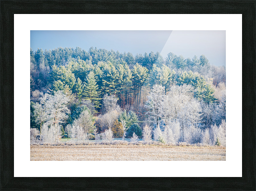 DL101103 227 Picture Frame print