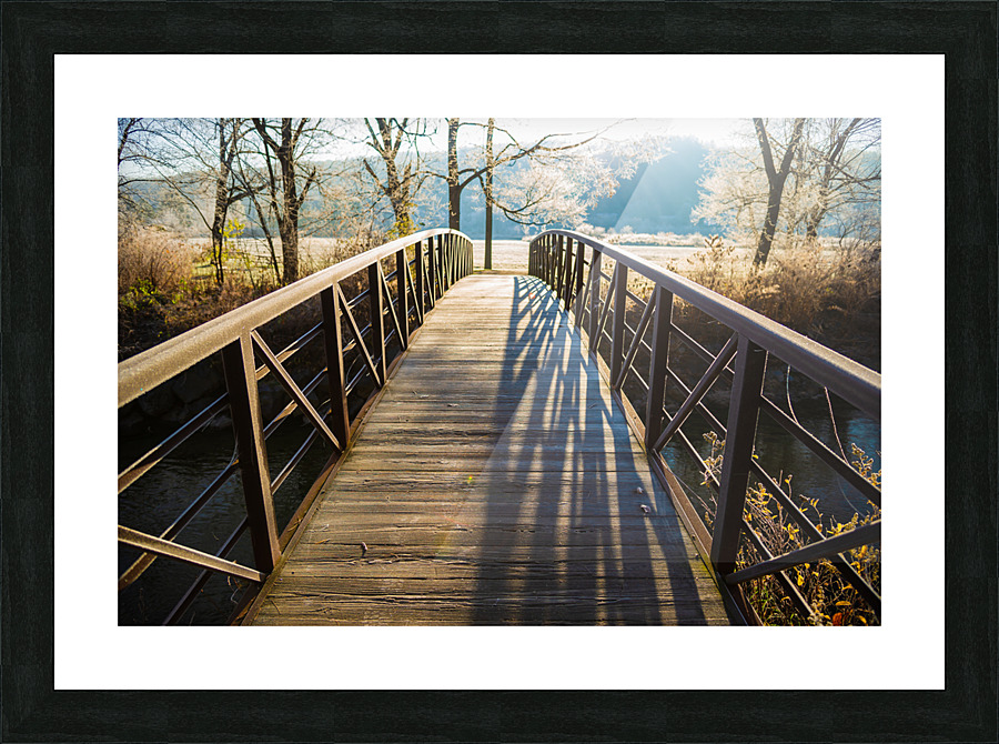 DL101103 118 Picture Frame print