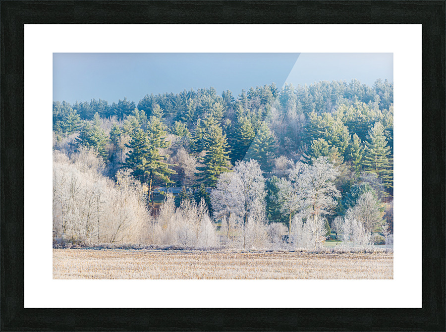 DL101103 228 Picture Frame print