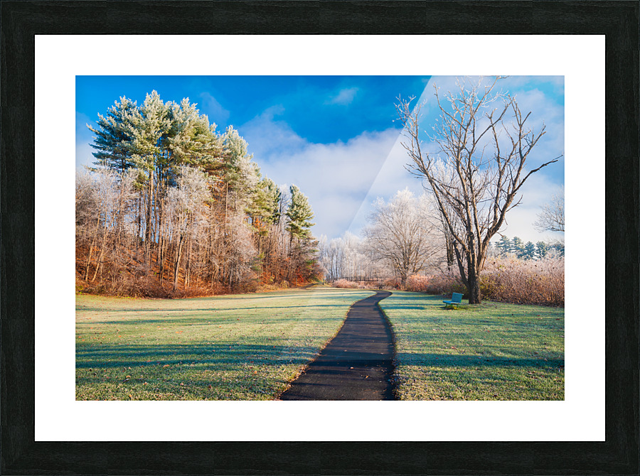 DL101103 084 Picture Frame print