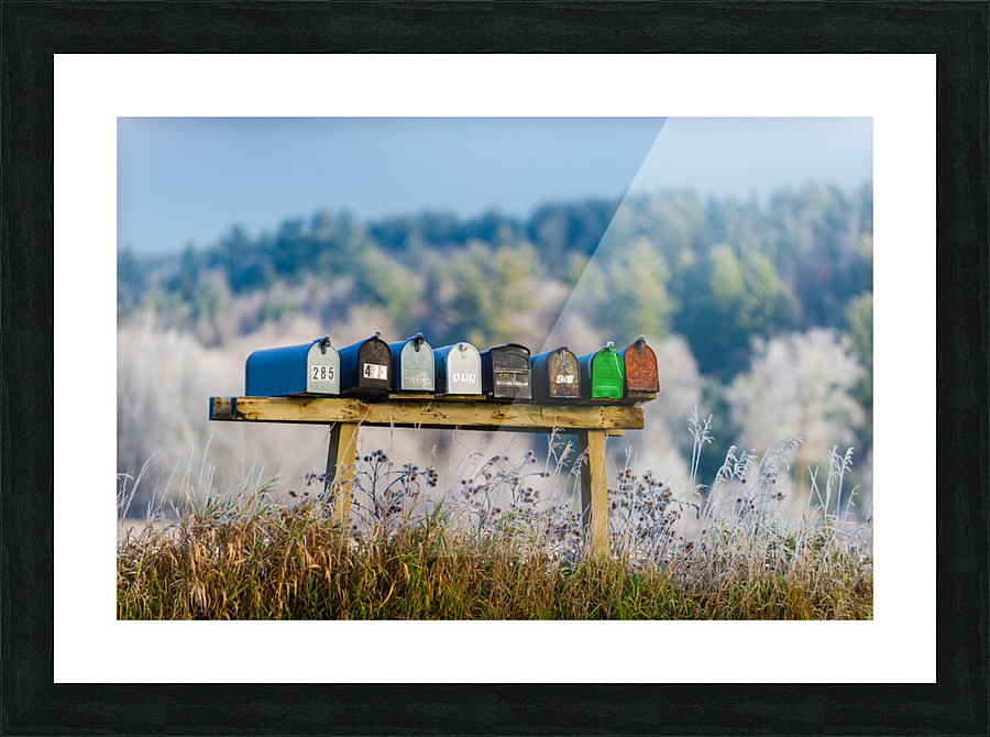 DL101103 232 Picture Frame print