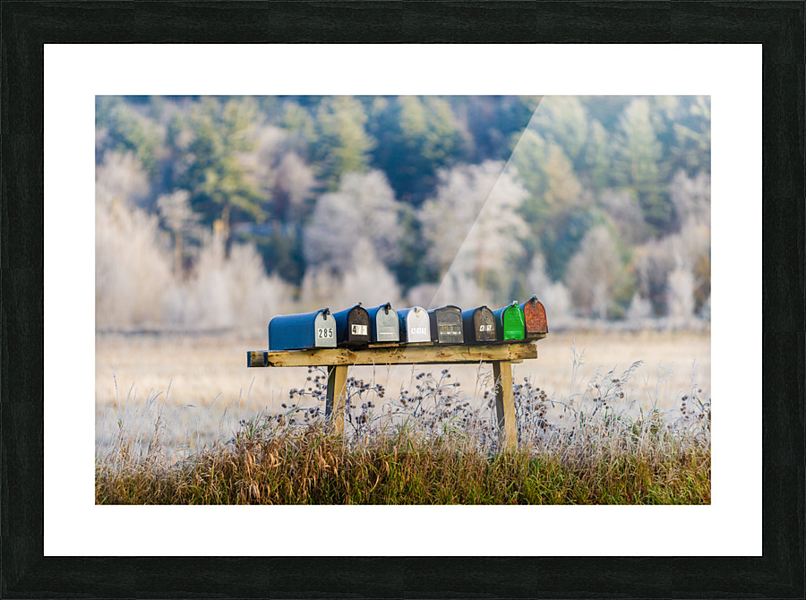 DL101103 231 Picture Frame print