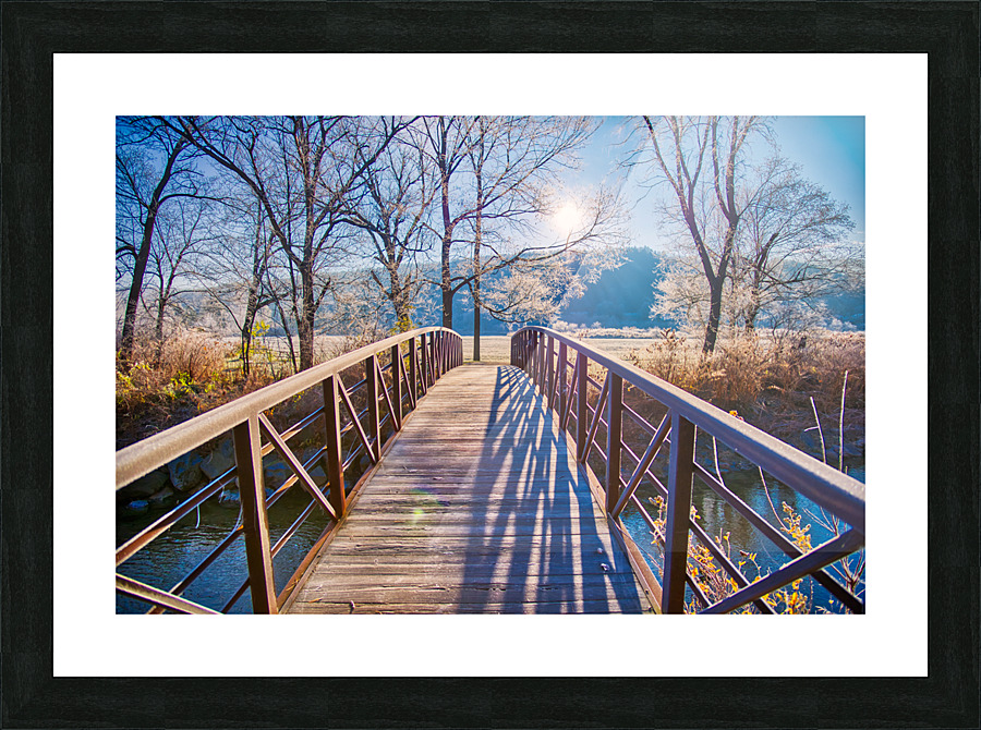 DL101103 111 Picture Frame print