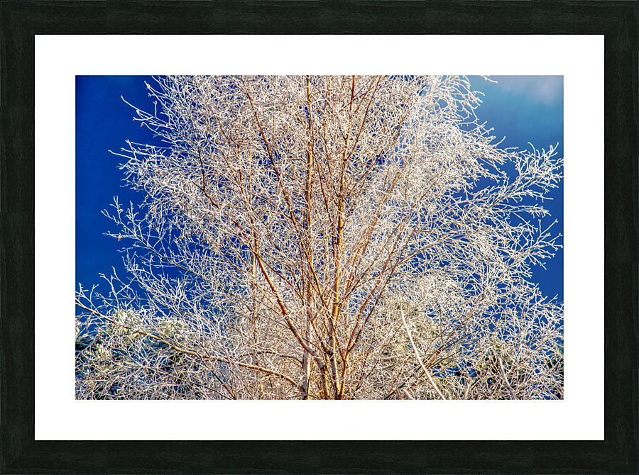 DL101103 201a Picture Frame print