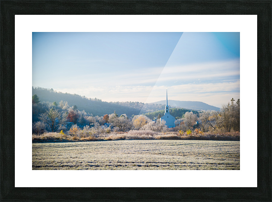 DL101103 130 Picture Frame print
