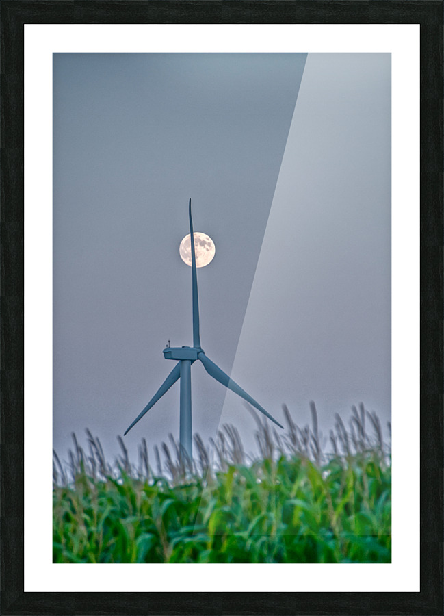 DL100823 188a Picture Frame print