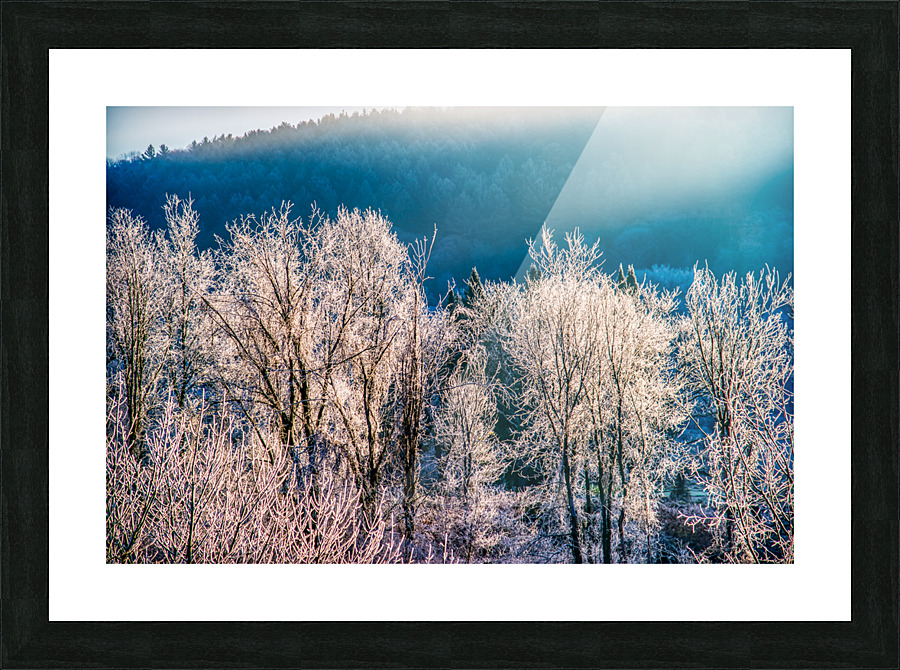 DL101103 024 Picture Frame print