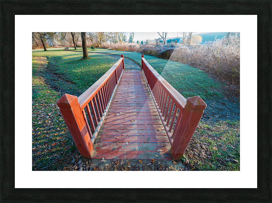 DL101103 080 Picture Frame print