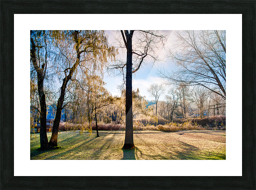 DL101103 063 Picture Frame print