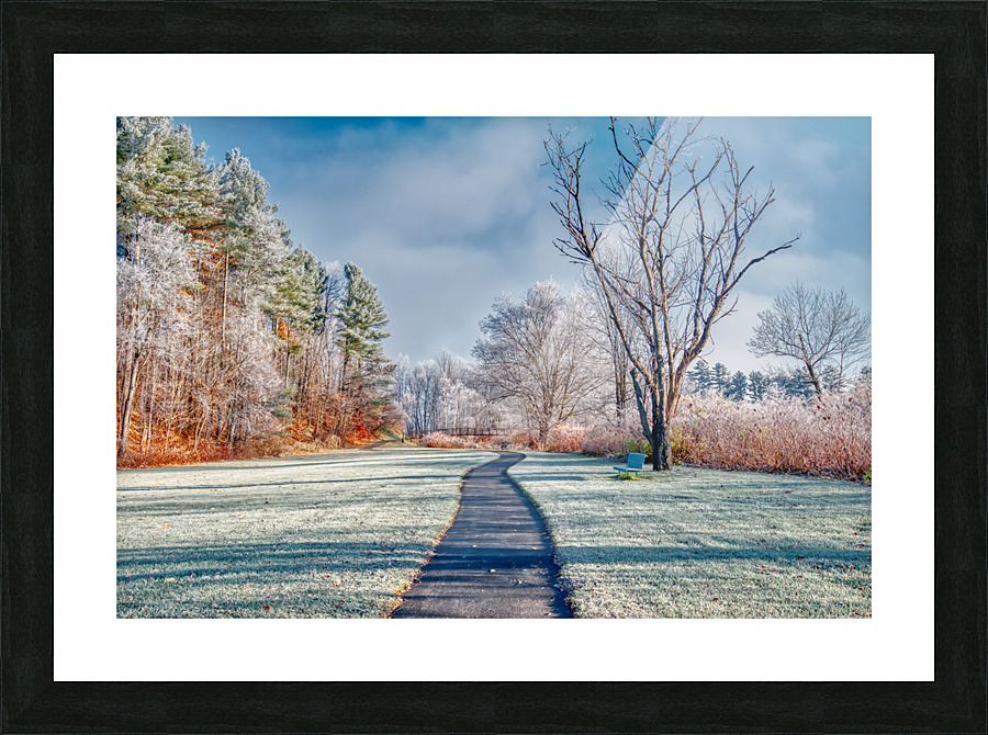 DL101103 081 Picture Frame print