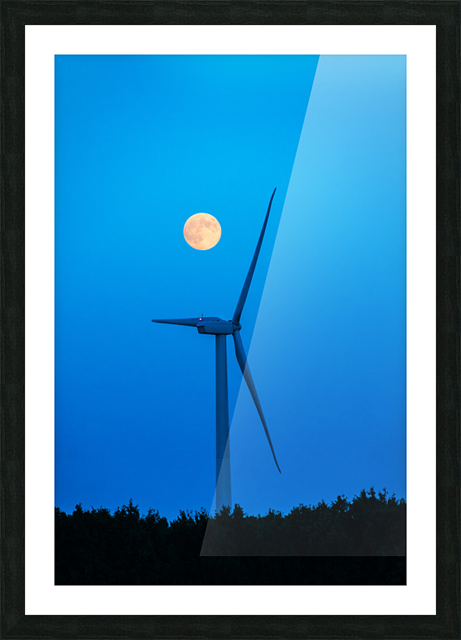 DL100823 163 Picture Frame print