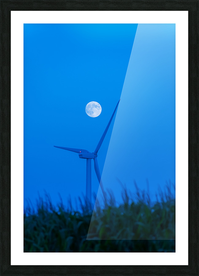 DL100823 175 Picture Frame print