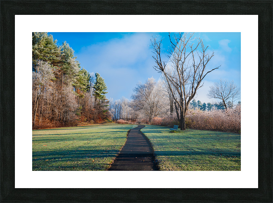 DL101103 081a Picture Frame print