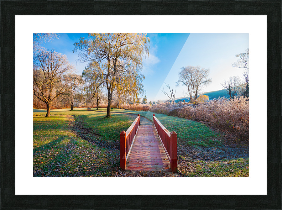 DL101103 077 Picture Frame print