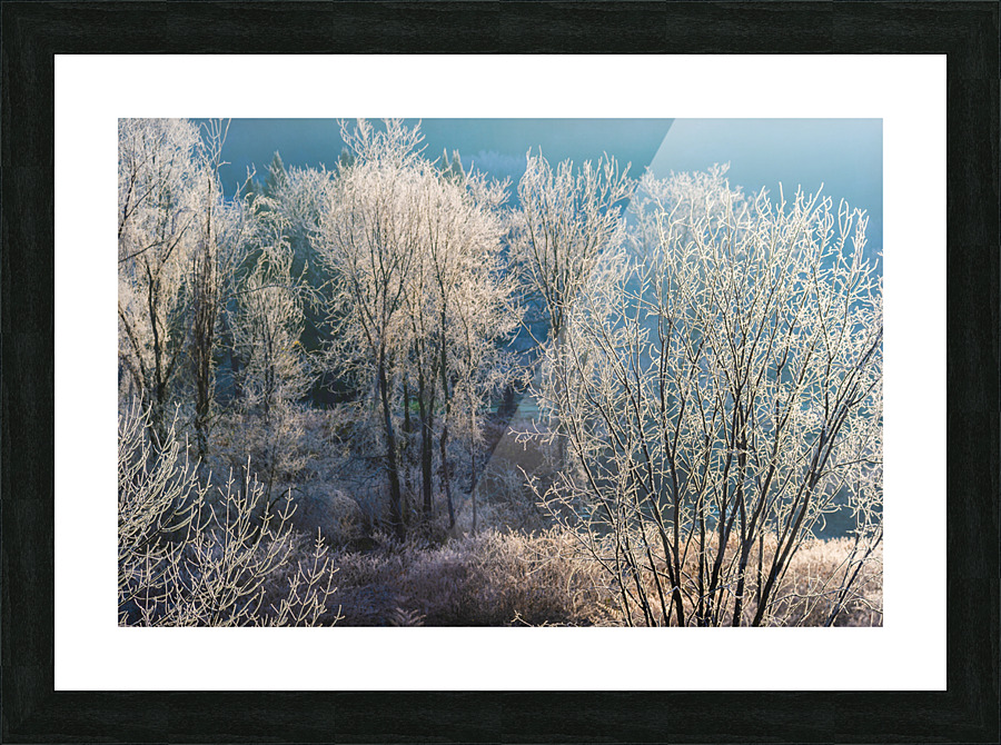 DL101103 019 Picture Frame print
