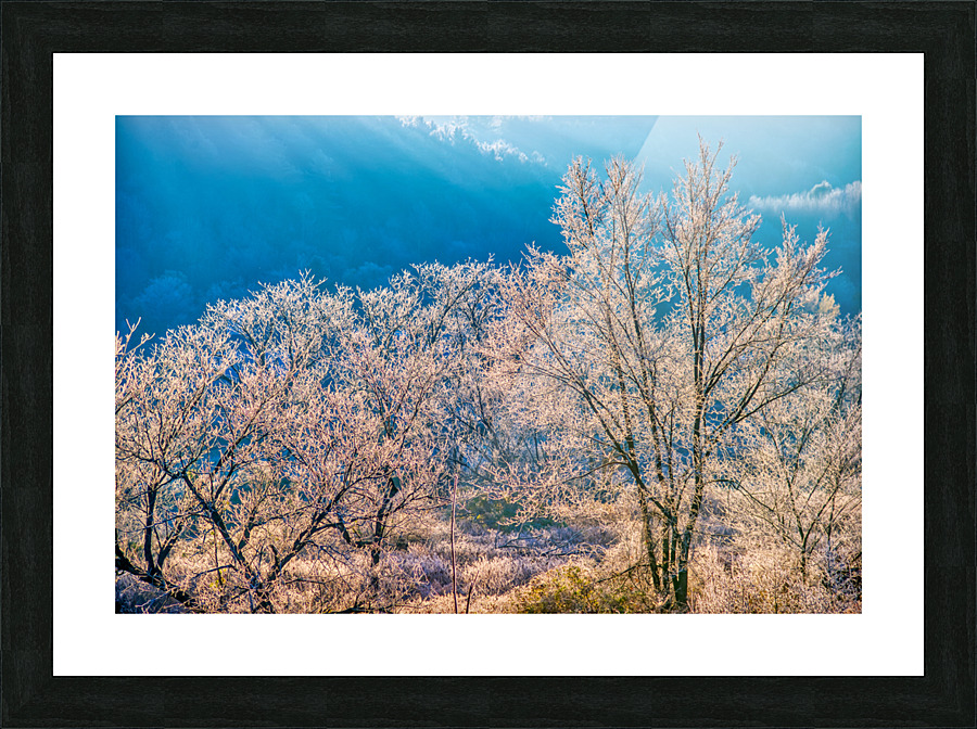 DL101103 057a Picture Frame print