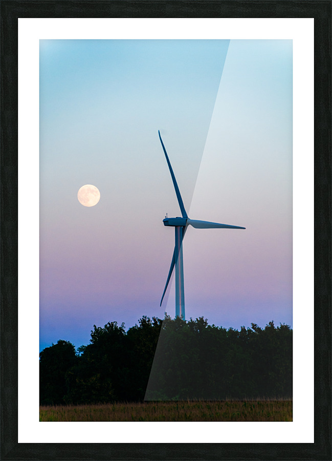 DL100823 144 Picture Frame print
