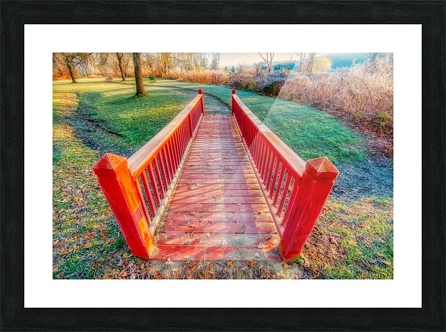DL101103 080a Picture Frame print