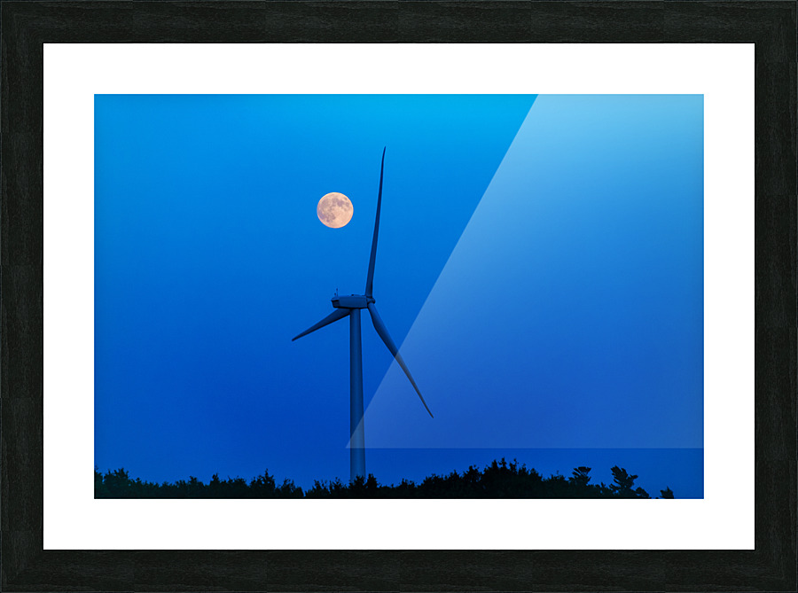 DL100823 160 Picture Frame print
