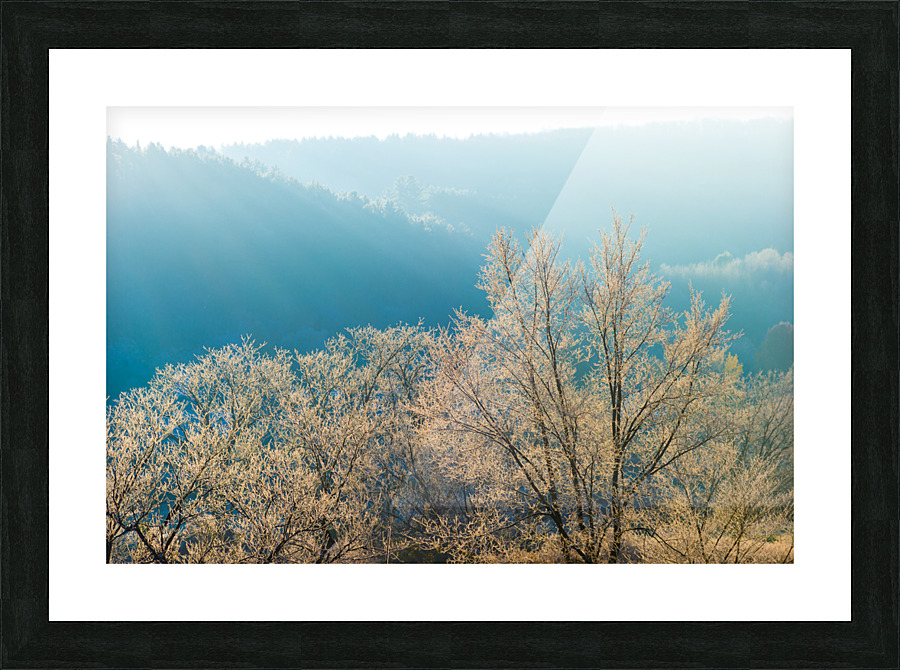 DL101103 061 Picture Frame print