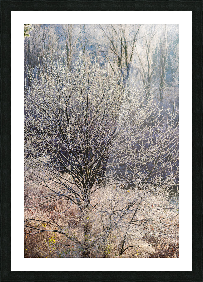 DL101103 025 Picture Frame print