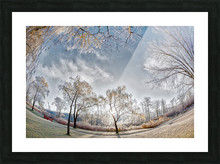 DL101103 067 Picture Frame print