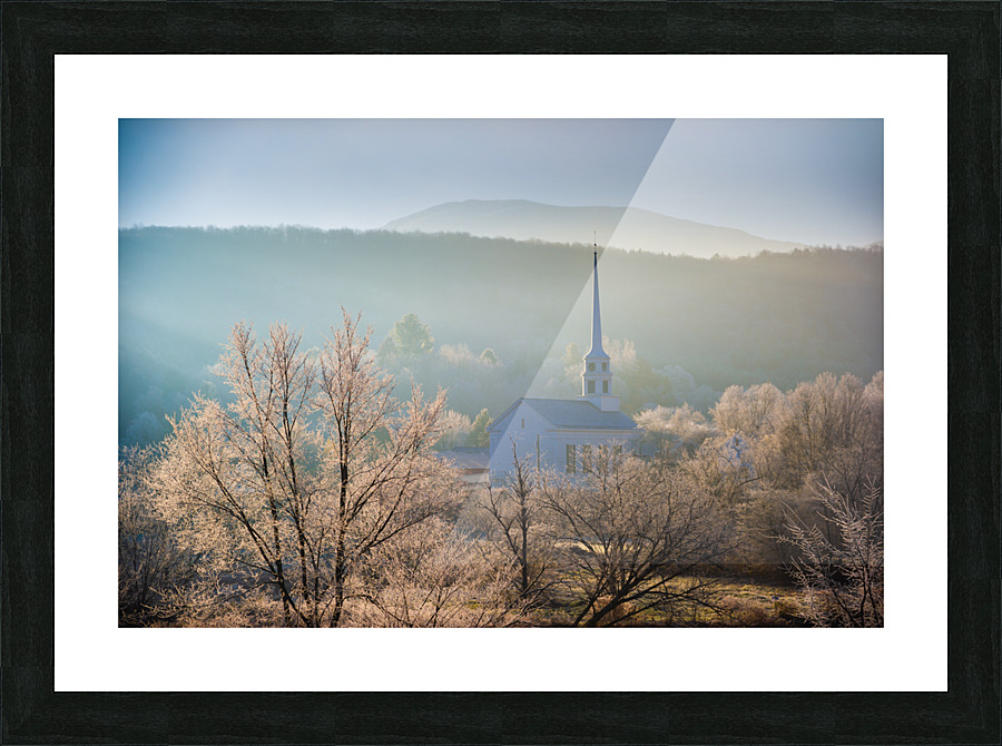 DL101103 055 Picture Frame print